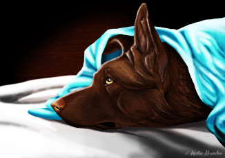 Картинка рисованные животные собаки собака