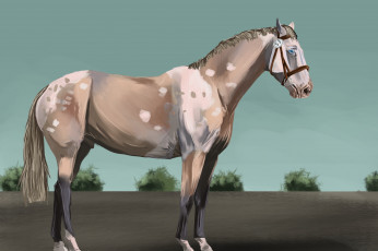 Картинка рисованные животные лошади лошадь