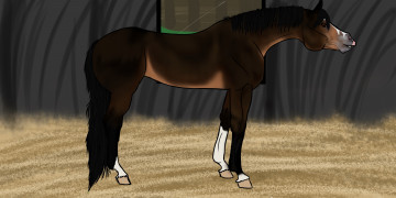 Картинка рисованные животные лошади лошадь