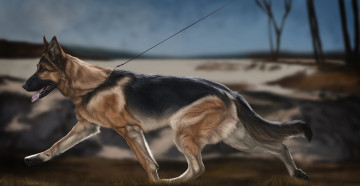 Картинка рисованные животные собаки собака