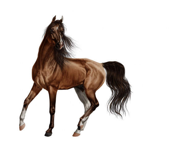 Обои картинки фото рисованные, животные, лошади, лошадь