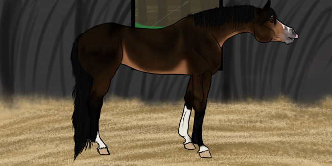 Обои картинки фото рисованные, животные, лошади, лошадь