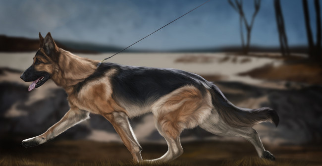 Обои картинки фото рисованные, животные, собаки, собака