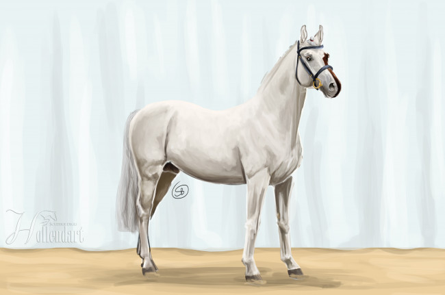 Обои картинки фото рисованные, животные, лошади, лошадь