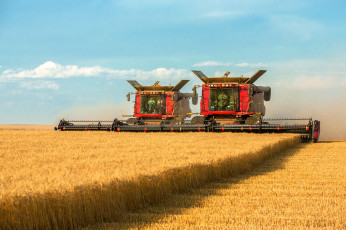 обоя техника, комбайны, уборочная, поле