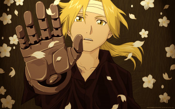 Картинка аниме fullmetal+alchemist стальная рука мужчина протез edward elric повязка цветы бинты алхимик