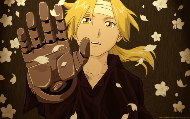 Обои картинки фото аниме, fullmetal alchemist, стальная, рука, мужчина, протез, edward, elric, повязка, цветы, бинты, алхимик