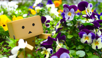 обоя разное, данбо , danboard, цветы