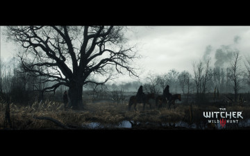 Картинка видео+игры the+witcher+3 +wild+hunt wild hunt 3 the witcher action фэнтези