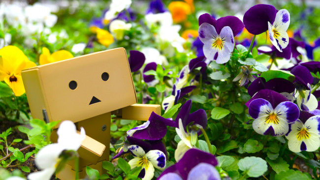 Обои картинки фото разное, данбо , danboard, цветы