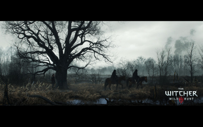 Обои картинки фото видео игры, the witcher 3,  wild hunt, wild, hunt, 3, the, witcher, action, фэнтези