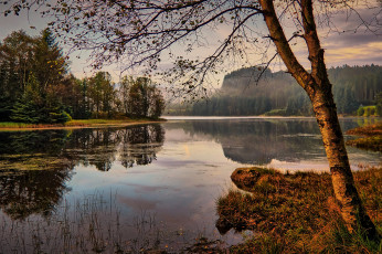 Картинка природа реки озера лес река