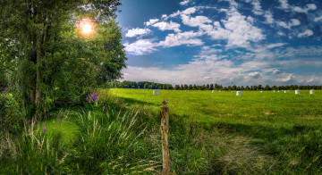 Картинка природа пейзажи простор