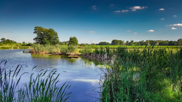 Картинка природа реки озера лес река