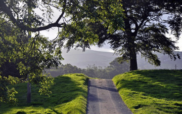 Картинка природа дороги деревья трава гора