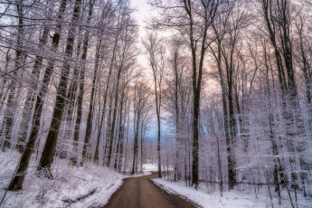 Картинка природа дороги простор