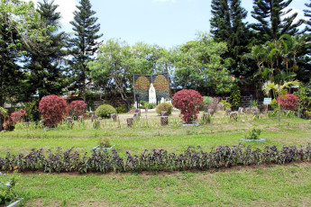 Картинка природа парк кусты клумбы