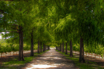 Картинка природа дороги простор