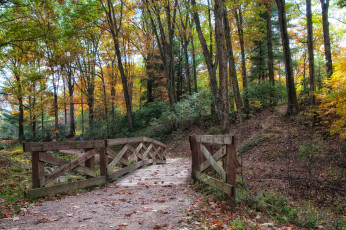 Картинка природа дороги простор