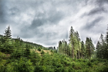 Картинка природа пейзажи простор