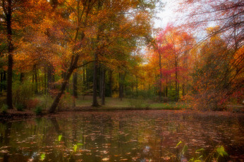 Картинка природа реки озера простор