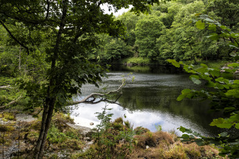 Картинка природа реки озера простор