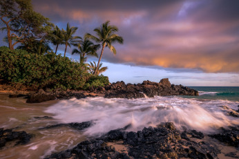 Картинка природа тропики простор