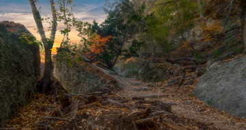 Картинка природа дороги простор