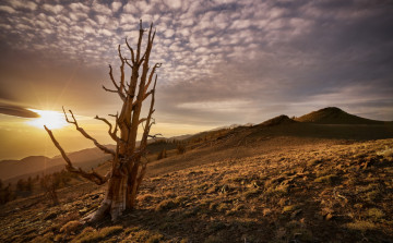 Картинка природа восходы закаты простор