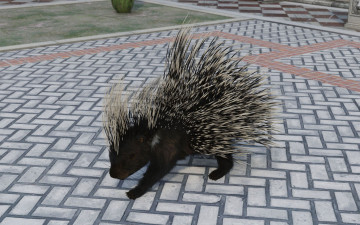 Картинка 3д+графика животные+ animals country