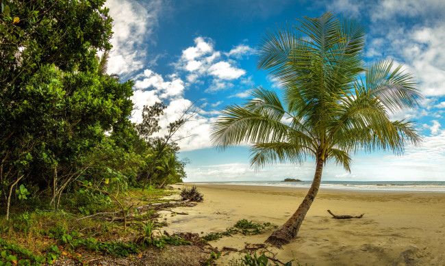 Обои картинки фото природа, тропики, простор