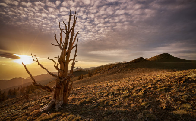 Обои картинки фото природа, восходы, закаты, простор