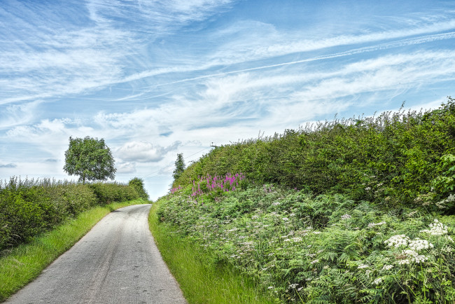 Обои картинки фото природа, дороги, простор