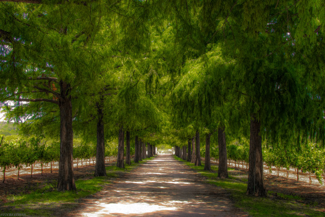 Обои картинки фото природа, дороги, простор