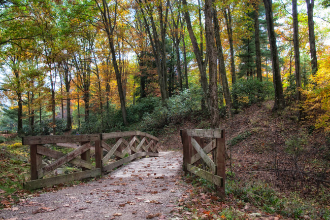 Обои картинки фото природа, дороги, простор