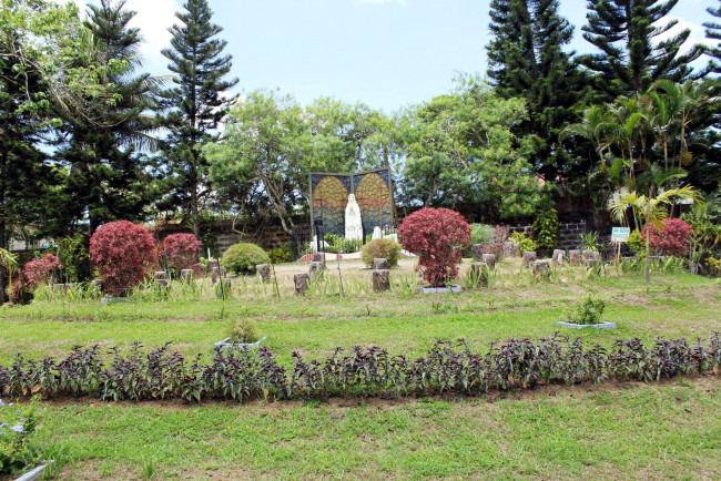 Обои картинки фото природа, парк, кусты, клумбы