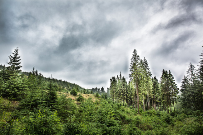 Обои картинки фото природа, пейзажи, простор