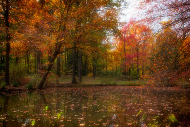 Обои картинки фото природа, реки, озера, простор