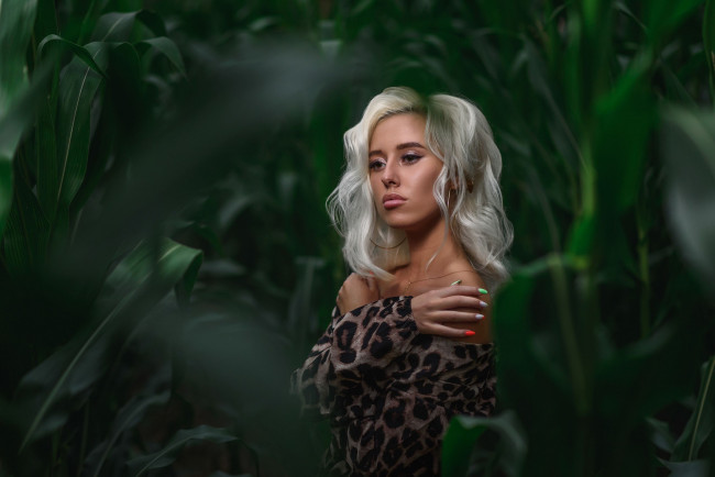 Обои картинки фото margo, девушки, - блондинки,  светловолосые, взгляд, макияж, причёска, красавица, секси, природа, кукуруза, листья, зелень, девушка, модель, блондинка, красотка, стройная, сексуальная, поза, флирт