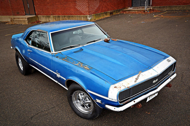 Обои картинки фото автомобили, camaro