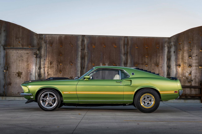 Обои картинки фото автомобили, mustang