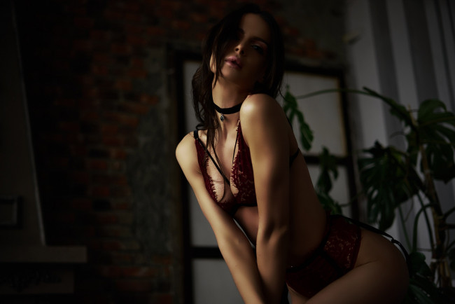 Обои картинки фото tata davidovskaya, девушки, девушка, брюнетка, сексуальная, милая, модель, красивая, супер, сладкая, симпатичная, классная, нежная, идеальная, яркая, игривая, великолепная, обаятельная, жгучая, спокойная, удивительная