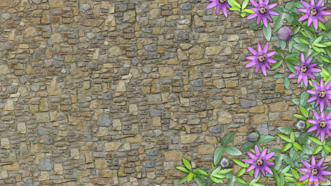 Обои картинки фото разное, компьютерный дизайн, стена, узор, текстура, цветы