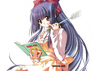 Картинка аниме moonlight lady