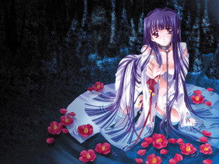 Картинка аниме moonlight lady