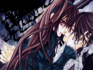 Картинка yuuki and kaname аниме vampire knight