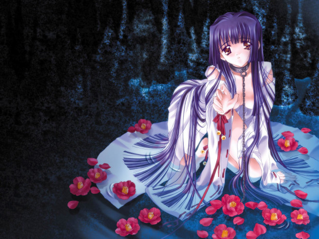 Обои картинки фото аниме, moonlight, lady