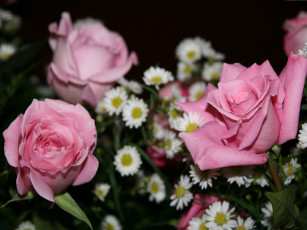 Картинка цветы разные вместе