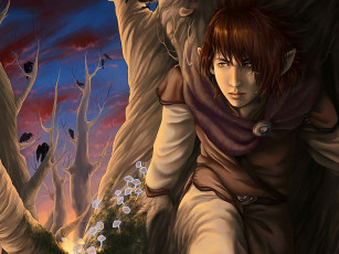 Картинка фэнтези эльфы