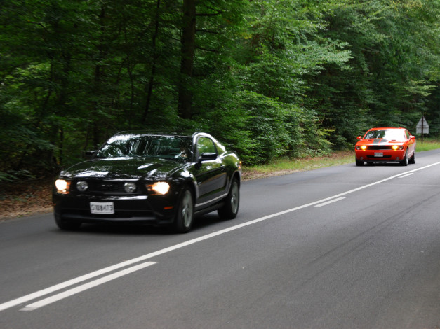 Обои картинки фото автомобили, разные, вместе